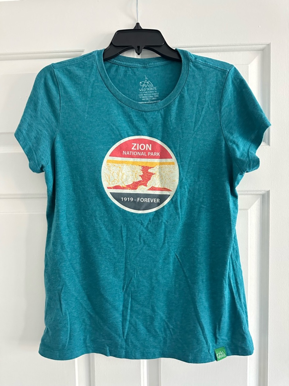 Teal Zion National Park Graphic Tee - Women